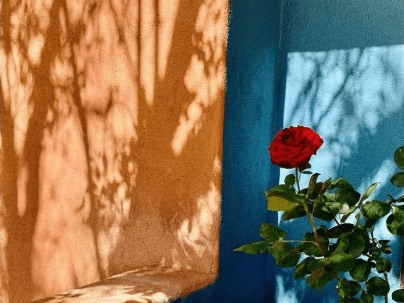 Healing: Altered states of&nbsp;consciousness