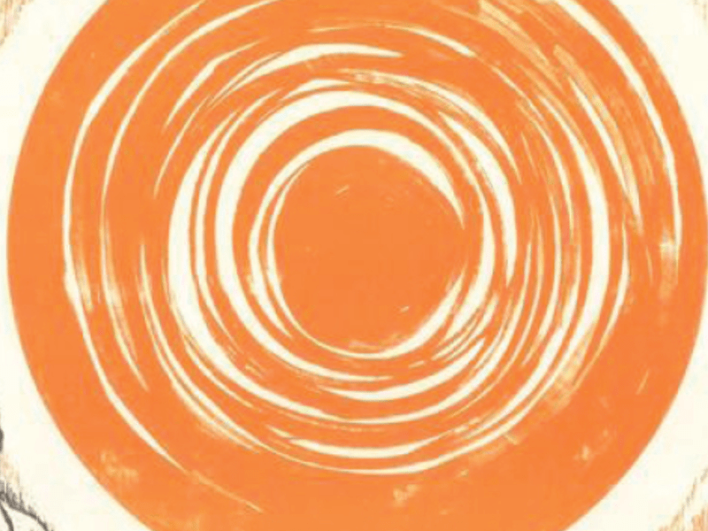 Could Mushroom Therapy be as effective at treating Depression as Antidepressants?